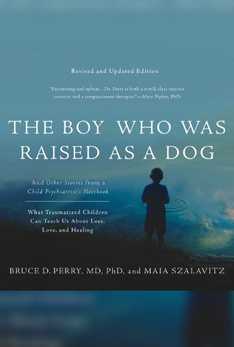 A book cover with a picture of a boy standing on the beach.