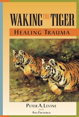 A book cover with two tigers walking in the grass.